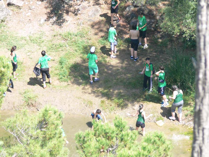 e_vico (4)