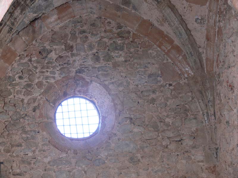 e_vico (6)