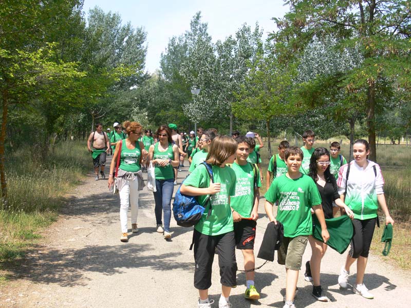 g-vico (1)
