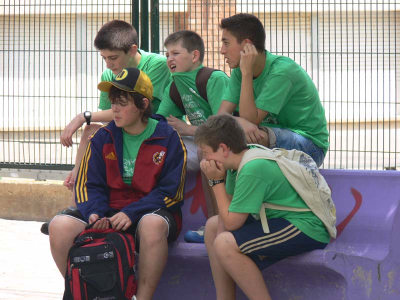 g-vico (5)