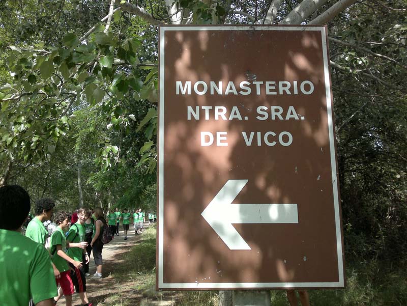 h_vico (2)