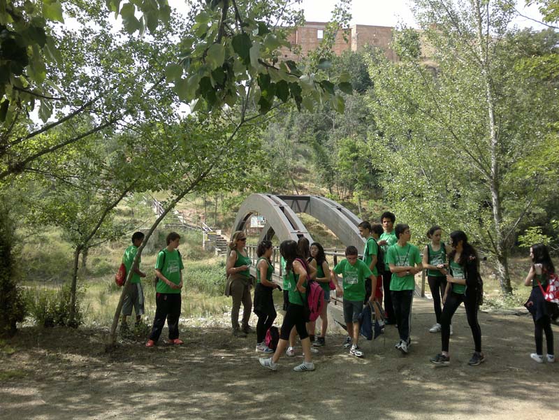 h_vico (3)