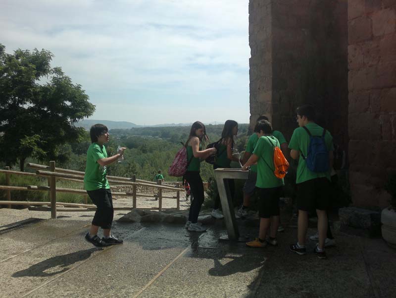 k_vico (4)