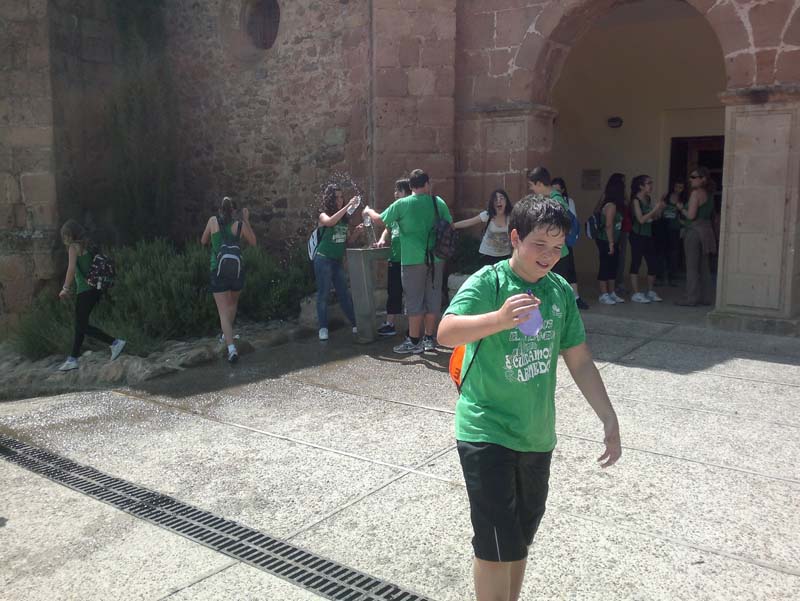 k_vico (5)