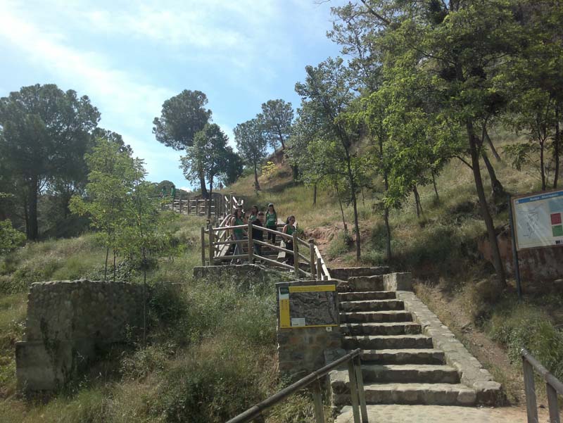 k_vico (7)