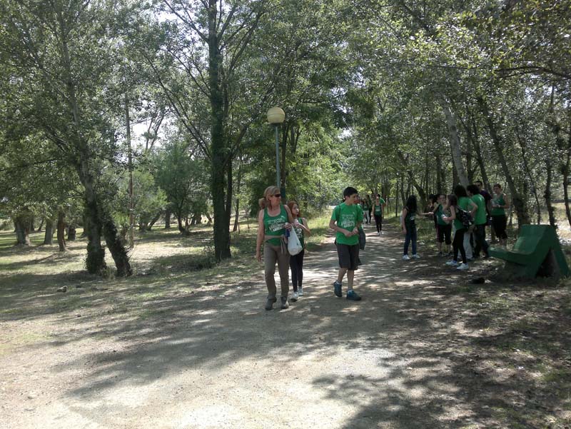 l_vico (5)