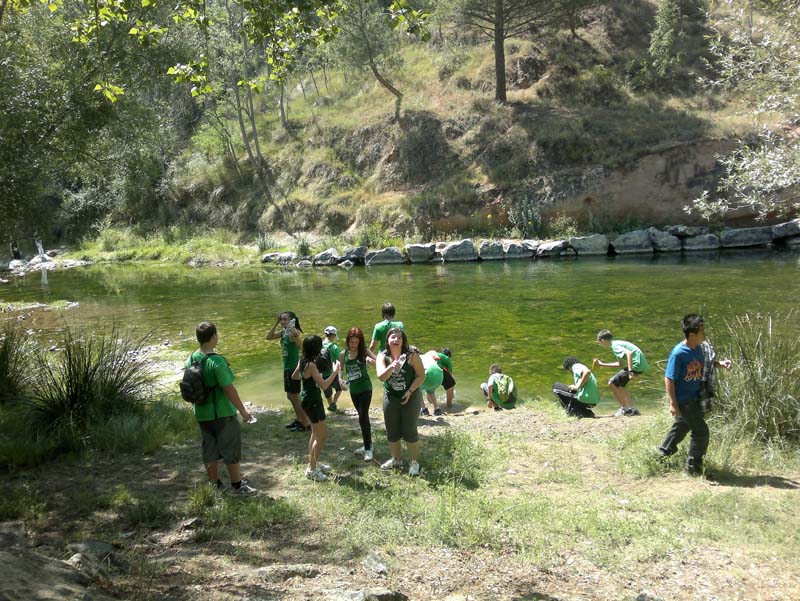 l_vico (7)