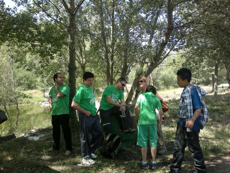 m_vico (2)