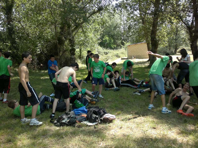 m_vico (8)