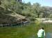 l_vico (2)