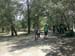l_vico (5)