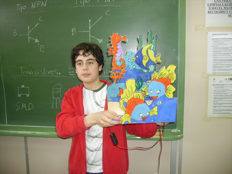 d_tecno (6)
