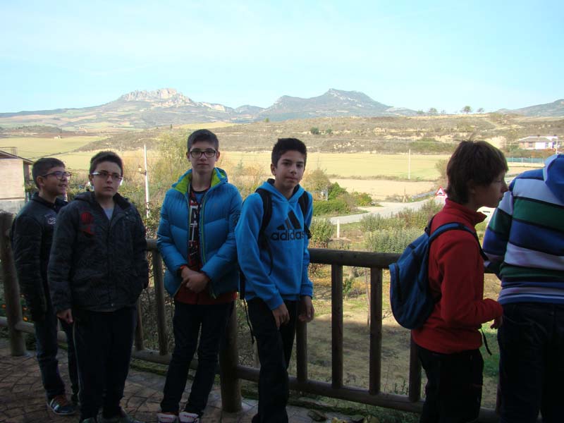 roma_c (7)